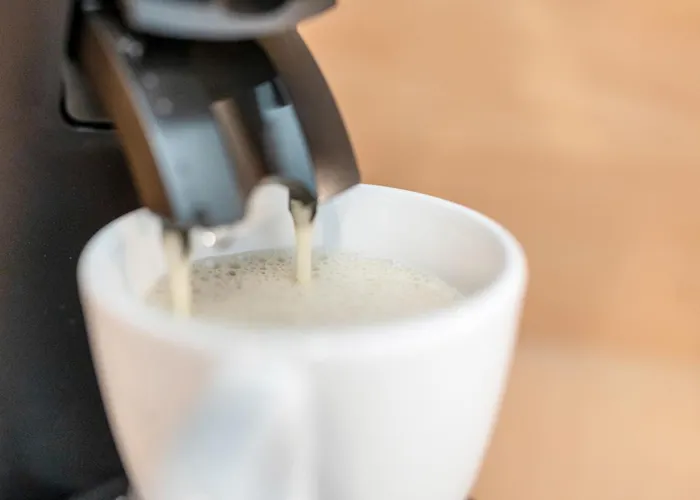 Entspannendste Am Edersee - Sauna